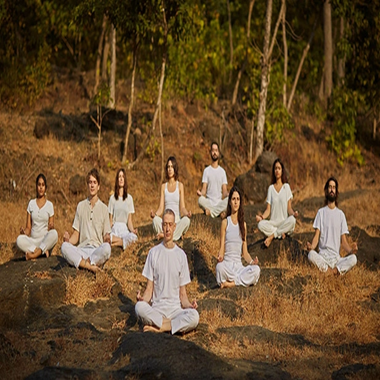 Guided Satsang & Meditation Sessions